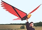 ornithopter