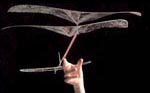 This organization had a major role in promoting ornithopters and accelerating new innovation.