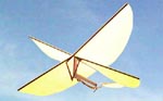 Nathan Chronister's scissor-wing design formed the basis for several radio-controlled toys, and the hoverable micro air vehicles that were soon developed at various universities.