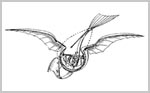 Trouvé reportedly flew an ornithopter in 1870 powered by compressed air. It may have been the first ornithopter ever flown, but we don't have any pictures of it.